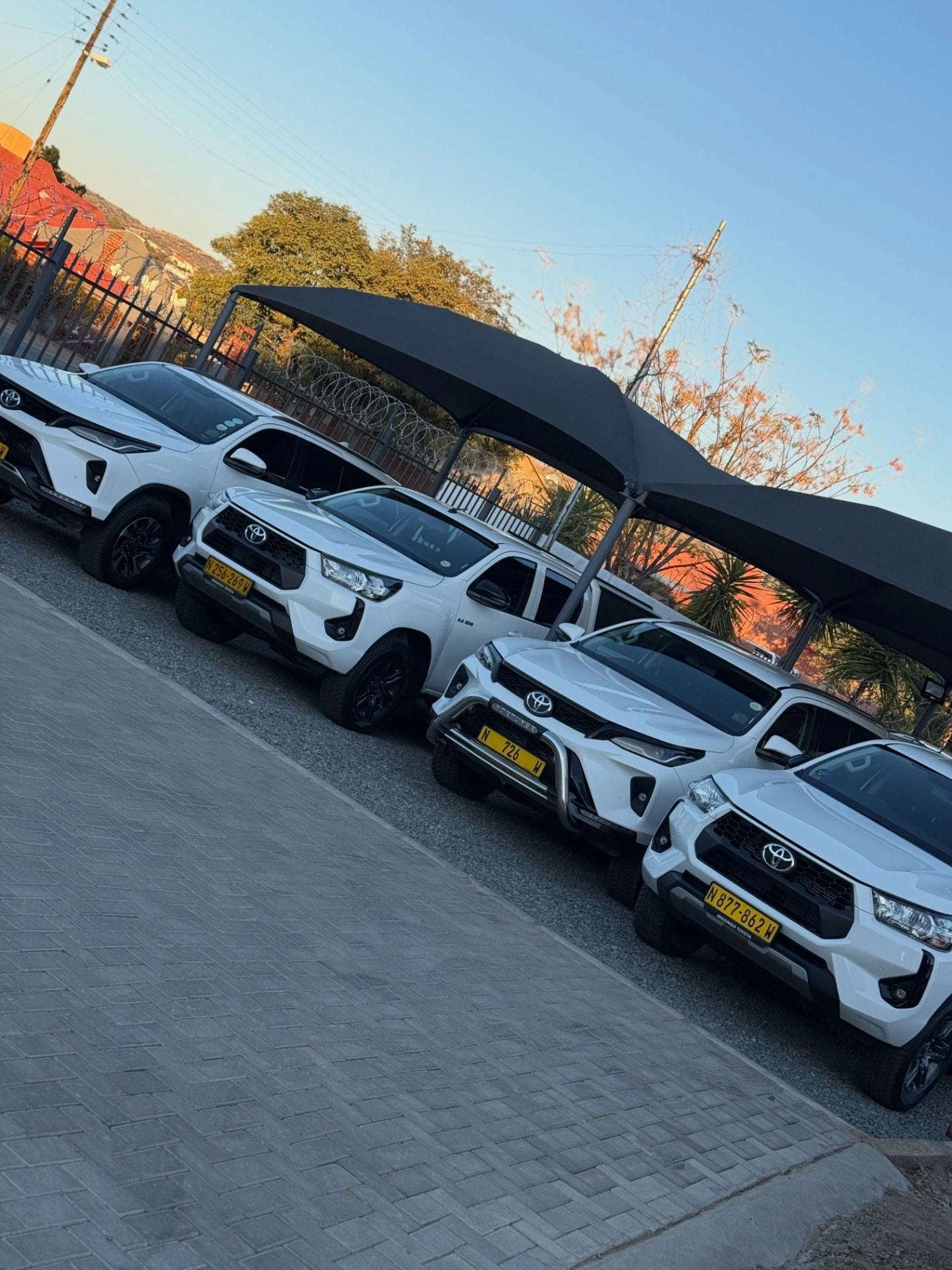 Row of white Toyota bakkies and SUVs in the New Trend Car Rental fleet